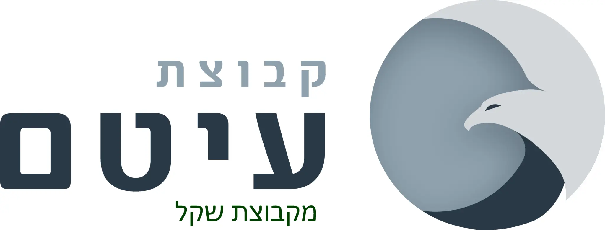 קבוצת עיטם פיננסים